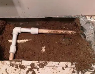 丽江测漏水哪家好