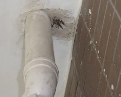 丽江漏水检测哪家好